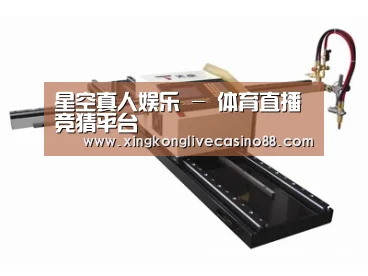 案例展示一