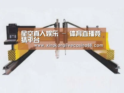 产品名称十七