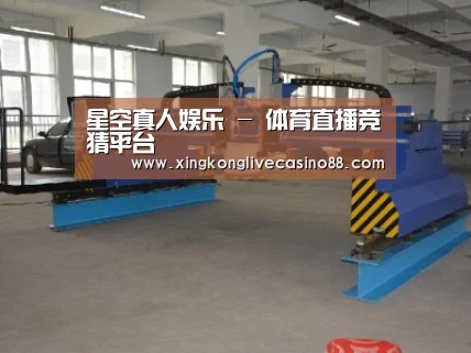 产品名称十九